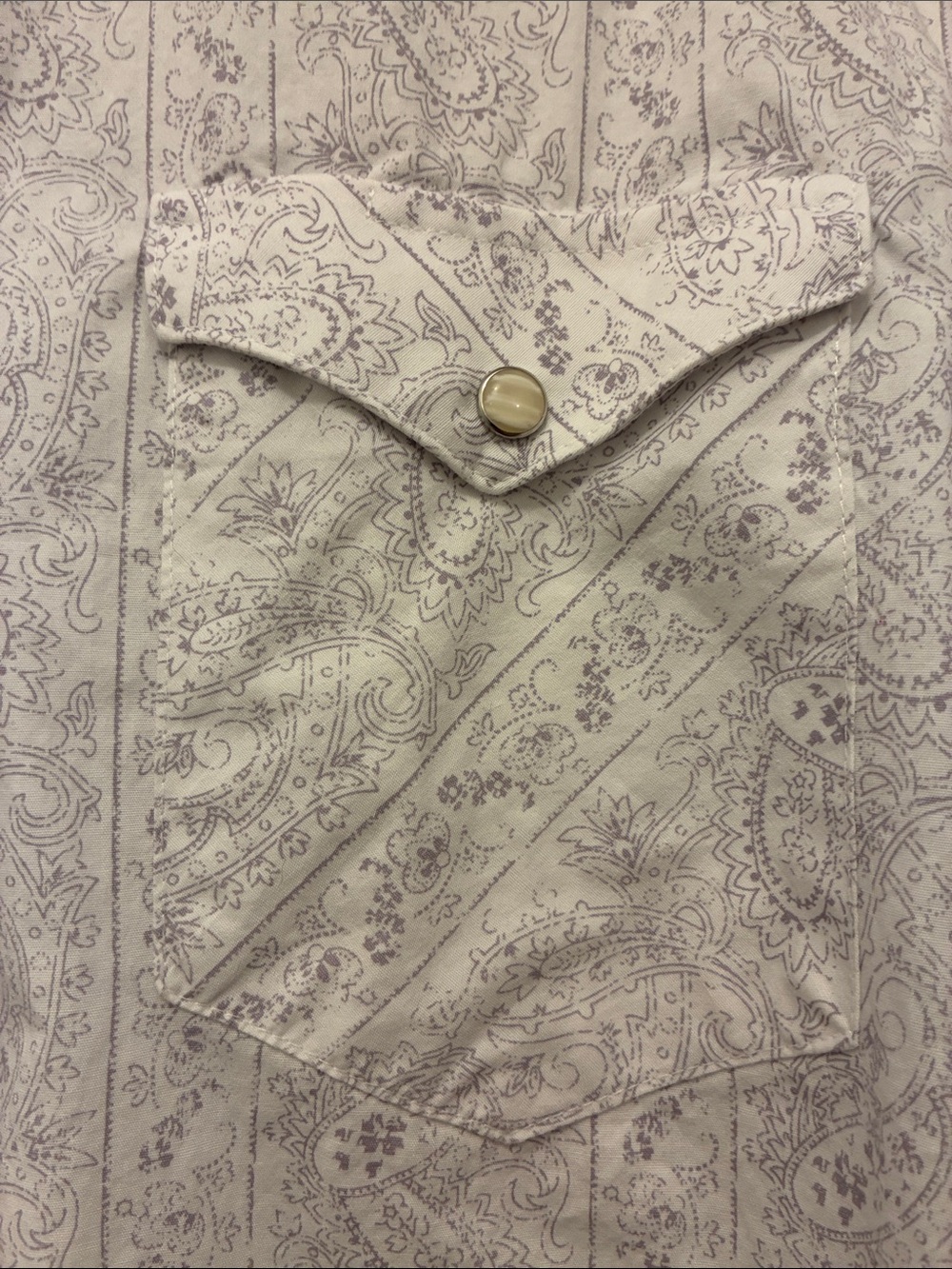 Panhandle Men's Cream Paisley Pearl Snap Western Shirt - Picture 4 of 7